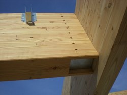 DSCN4850.JPG